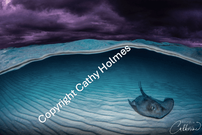 Calm Beneath the Storm