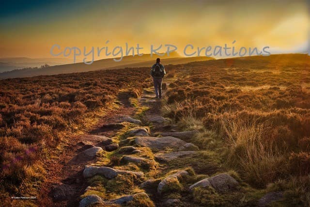 A Way in the Wilderness