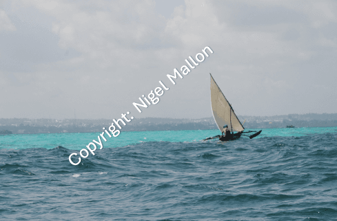 Skimming the Surface (Tanzania)