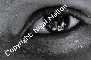 The Eye of the Little Man (Cameroon)